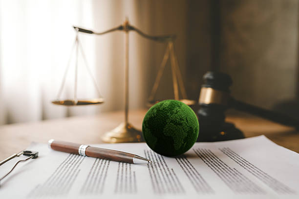 environmental law firm